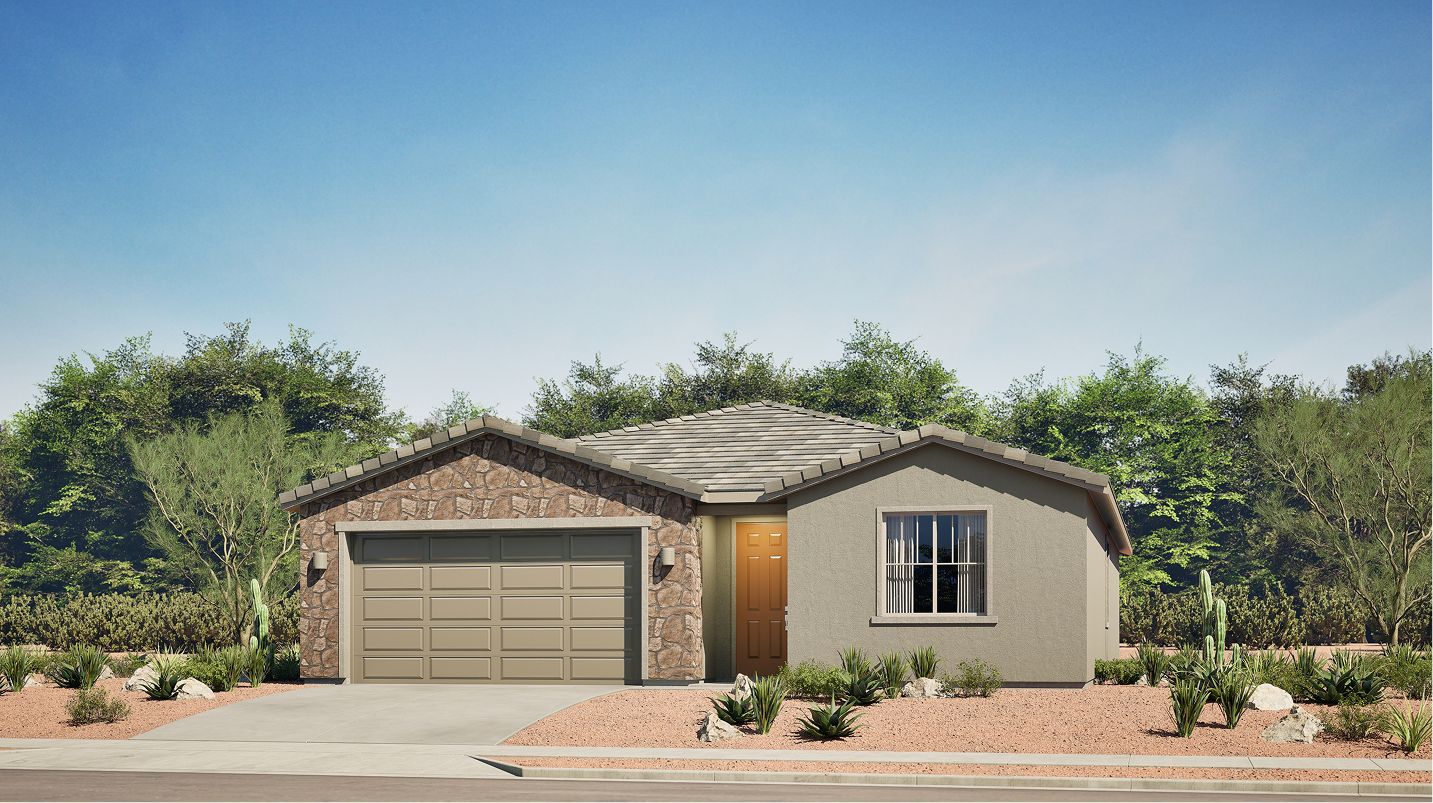 Elevation B - N200 Saguaro Desert Bloom Monarch Aster B