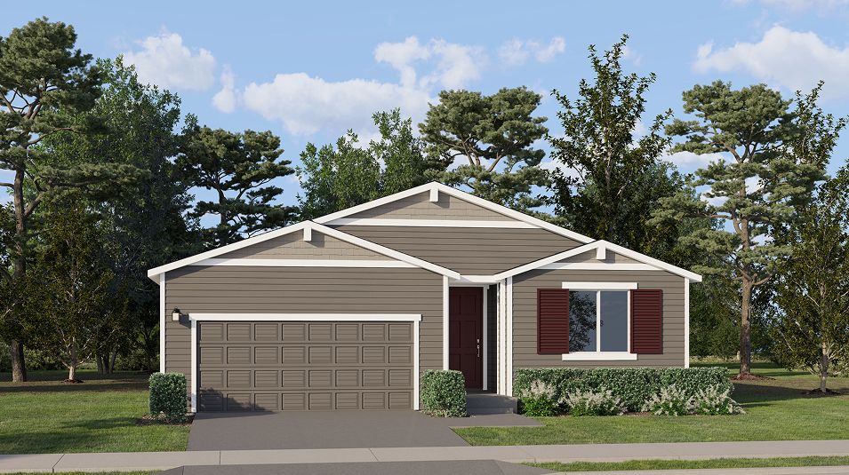 Elevation D - N200 Manor Stockbridge Meadow Aster D