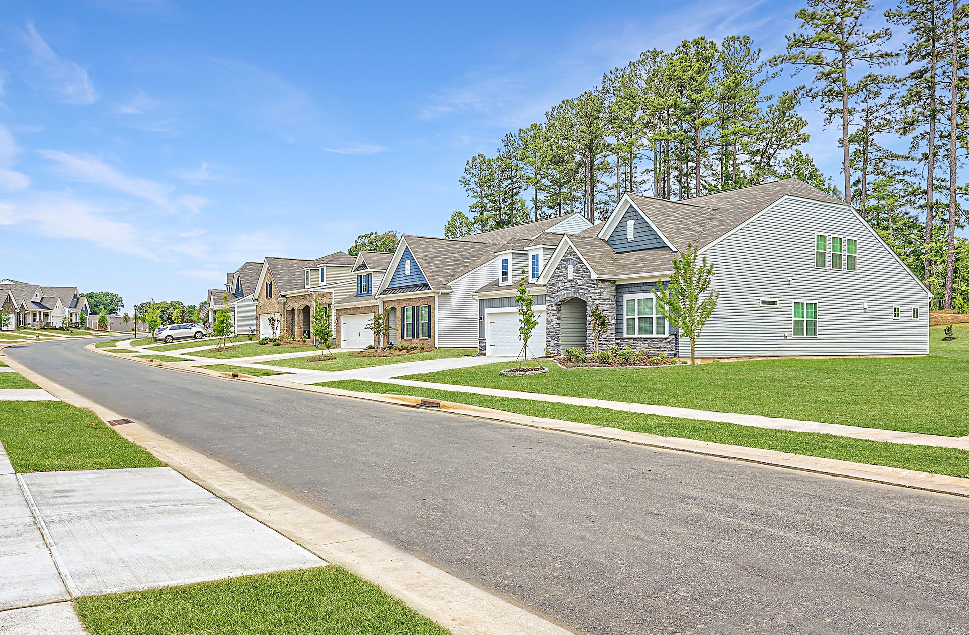 Meadows Streetscape 10of10