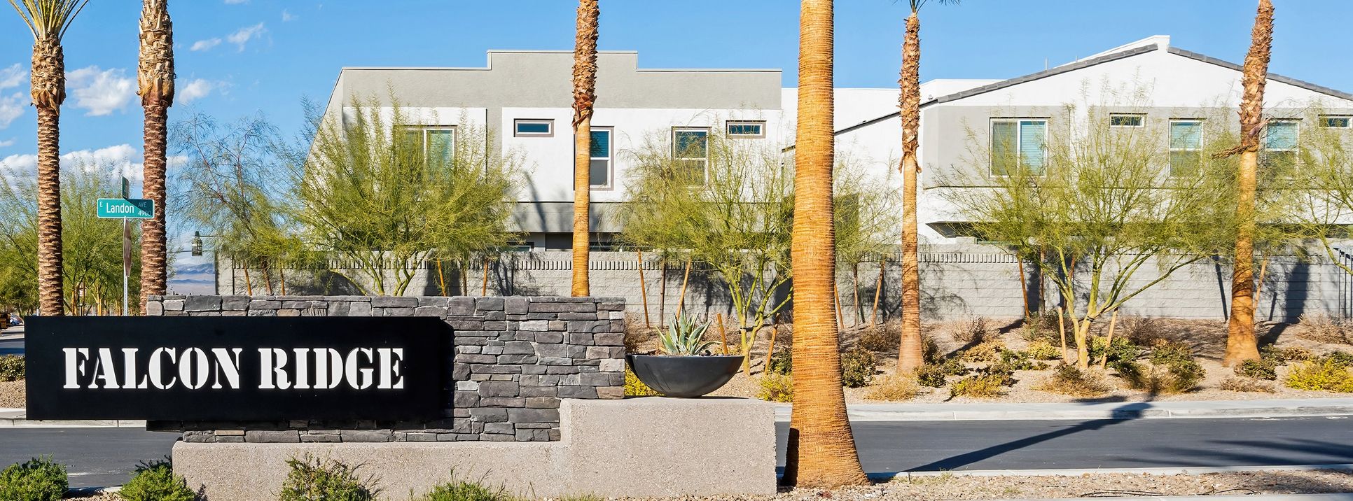 Falcon Ridge streetscape