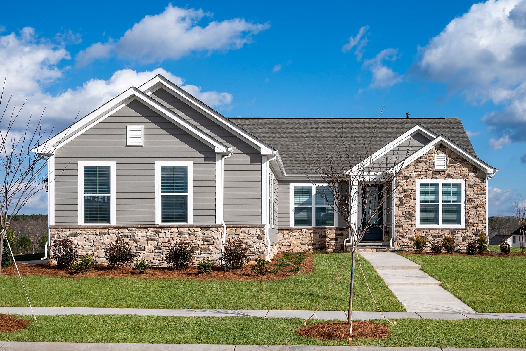 The Anderson:Terrata Homes