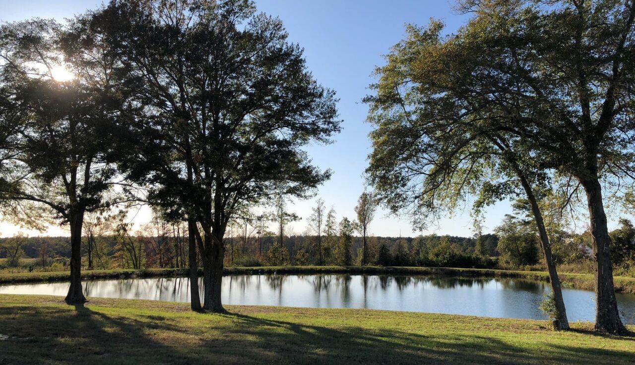 Four Oaks - Beverly Place