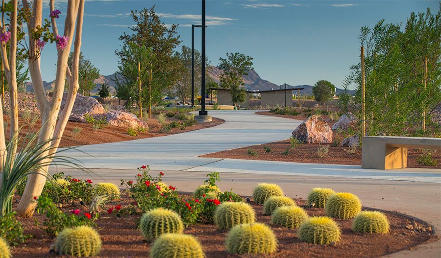 Cadence - Park Trail