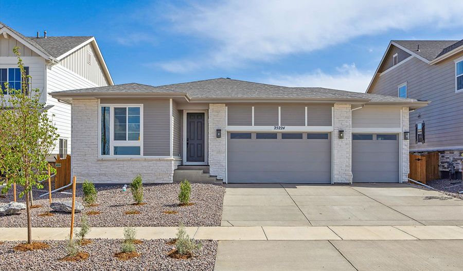 Arlington-Lot61-HarvestCrossing Exterior:Exterior