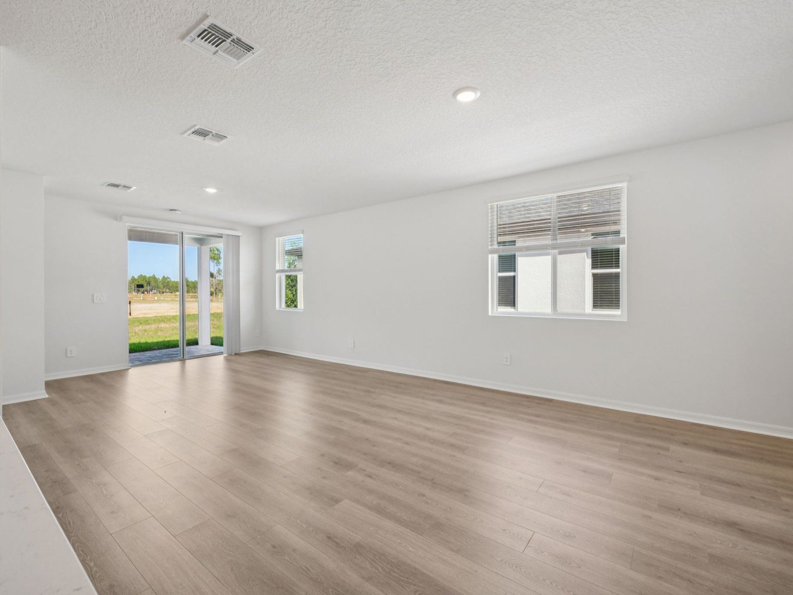 Great Room:Great Room