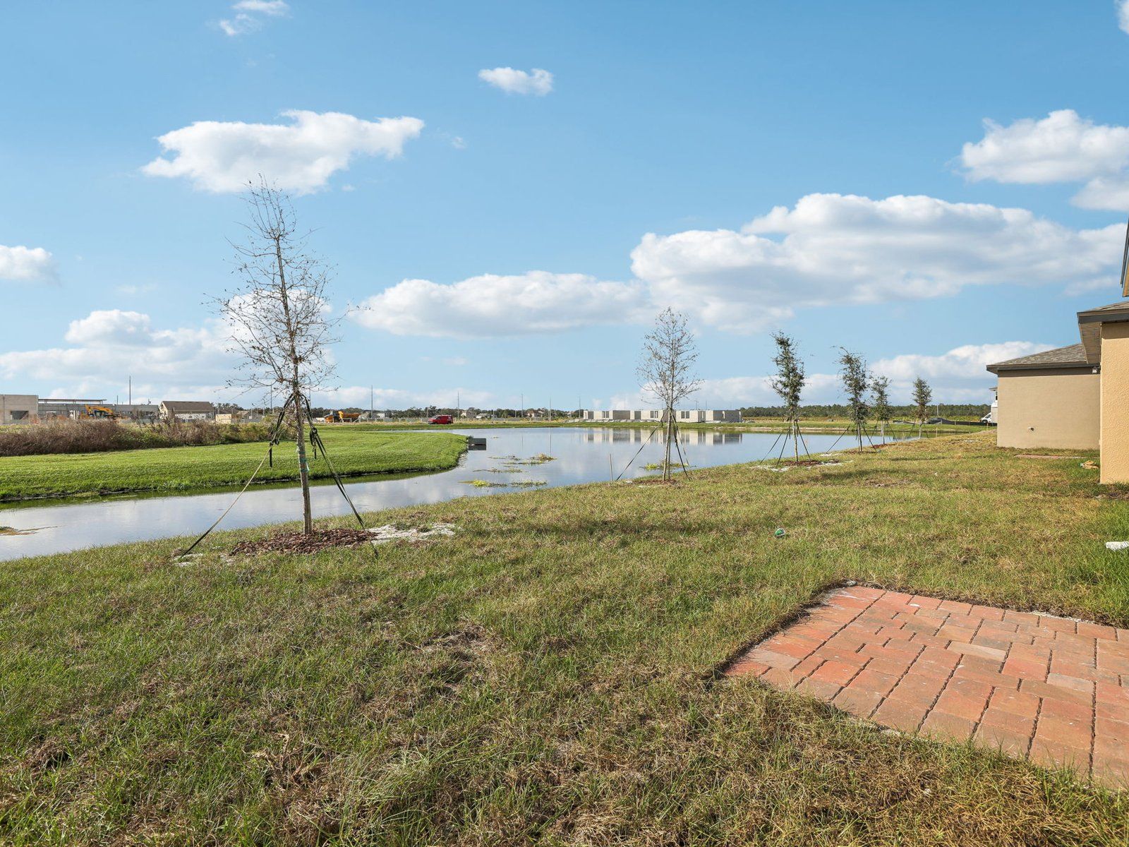 Backyard at 3197 Viceroy Court:Backyard