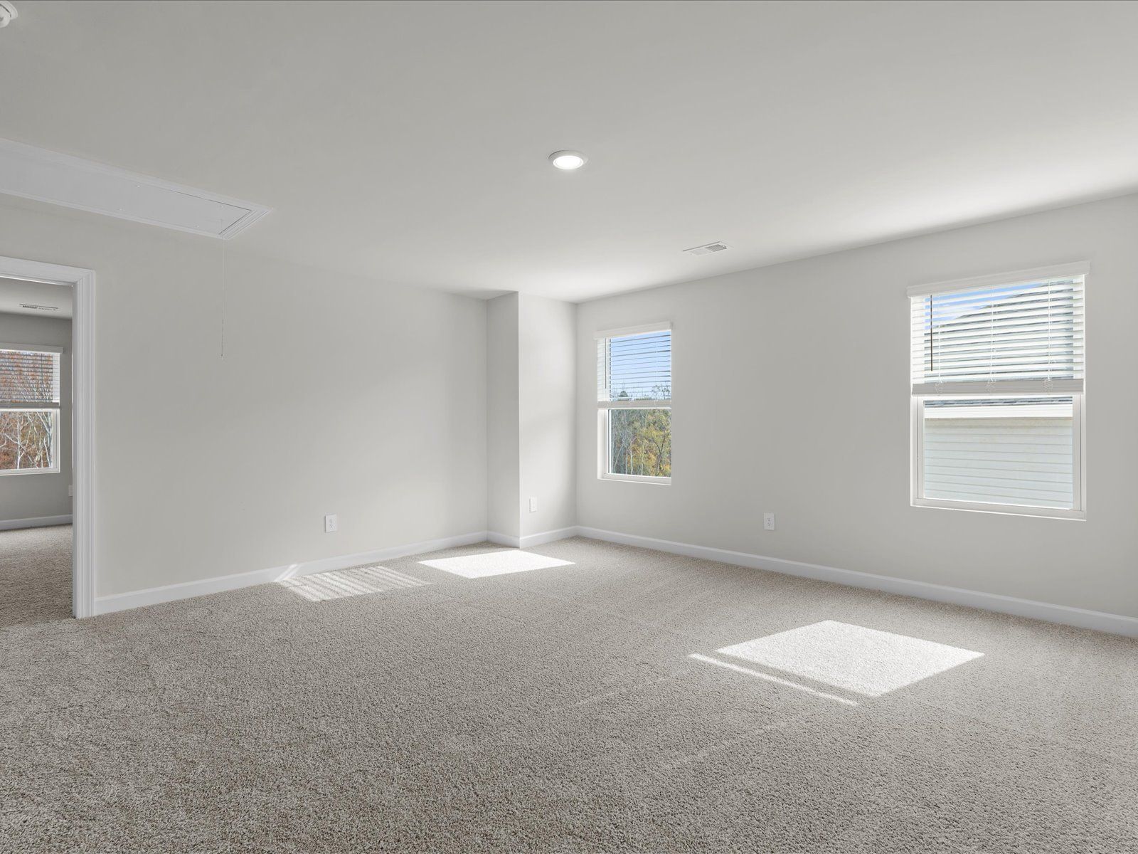 Chatham Forest,29334