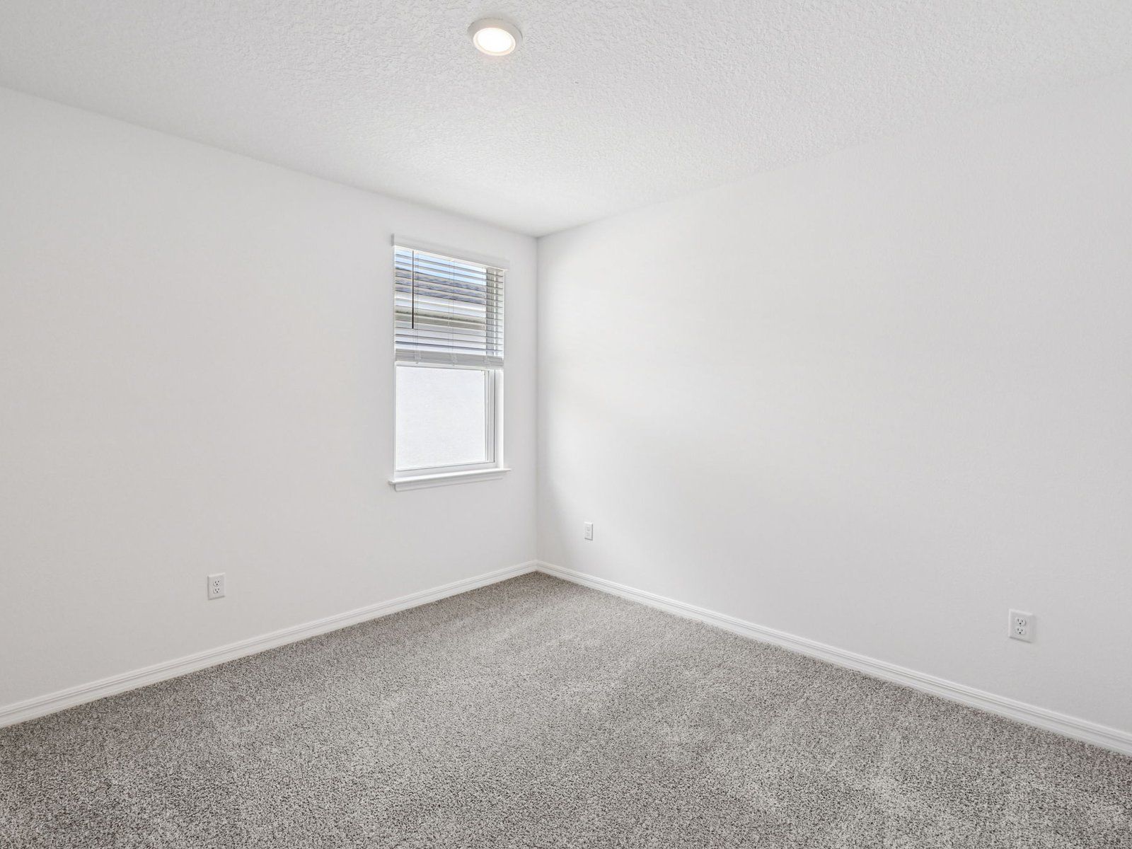 The Hibiscus floorplan at 5421 Hampton Park Cir:Secondary bedroom