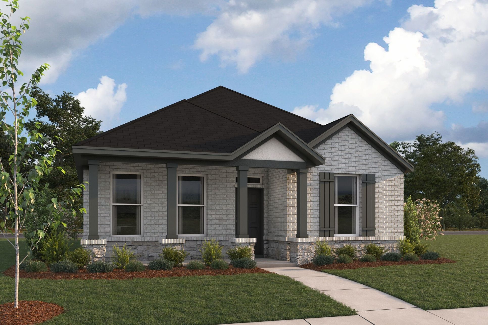 3101 Elevation Orchid:3101 Elevation Orchid