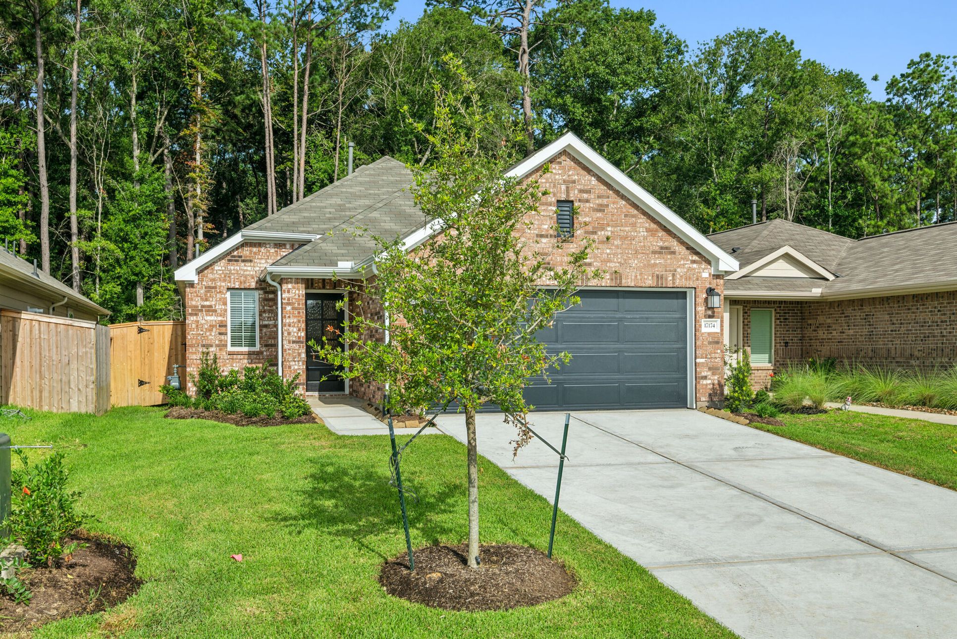 Exterior:Exterior