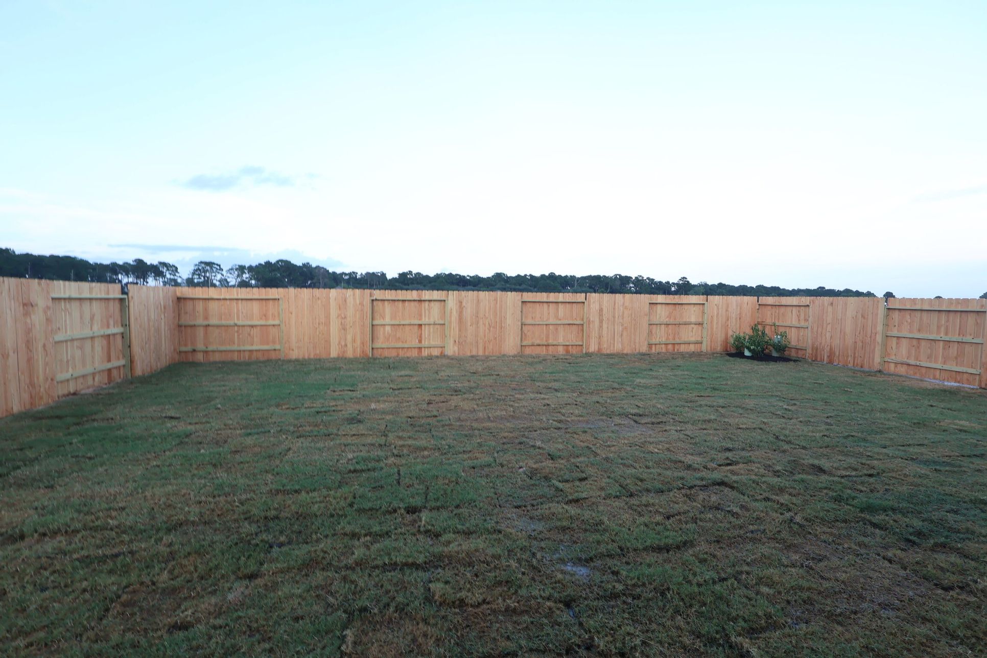 Backyard:Backyard