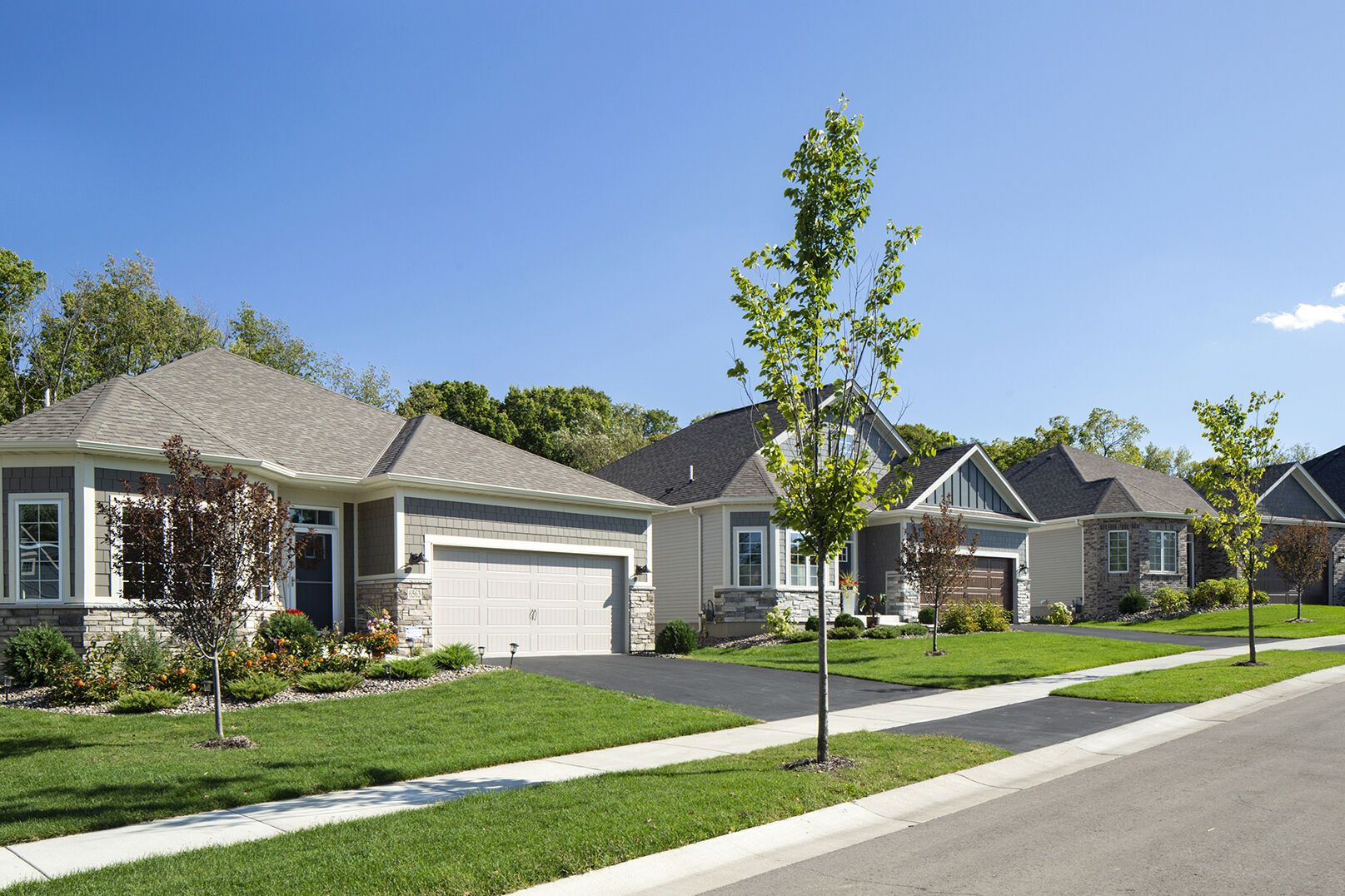 Streetscape:Streetscape