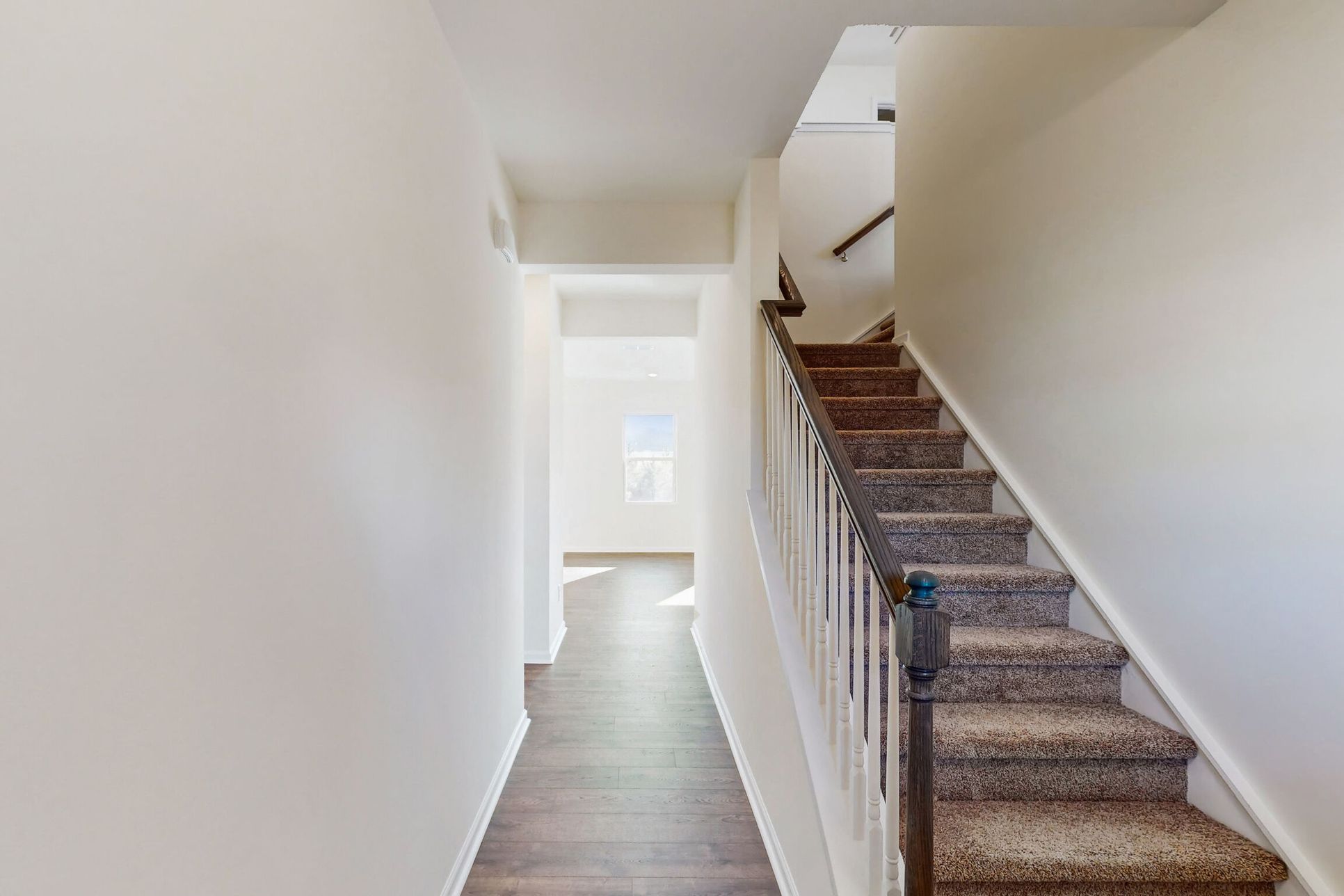 Entry:Entry - Representational Photo