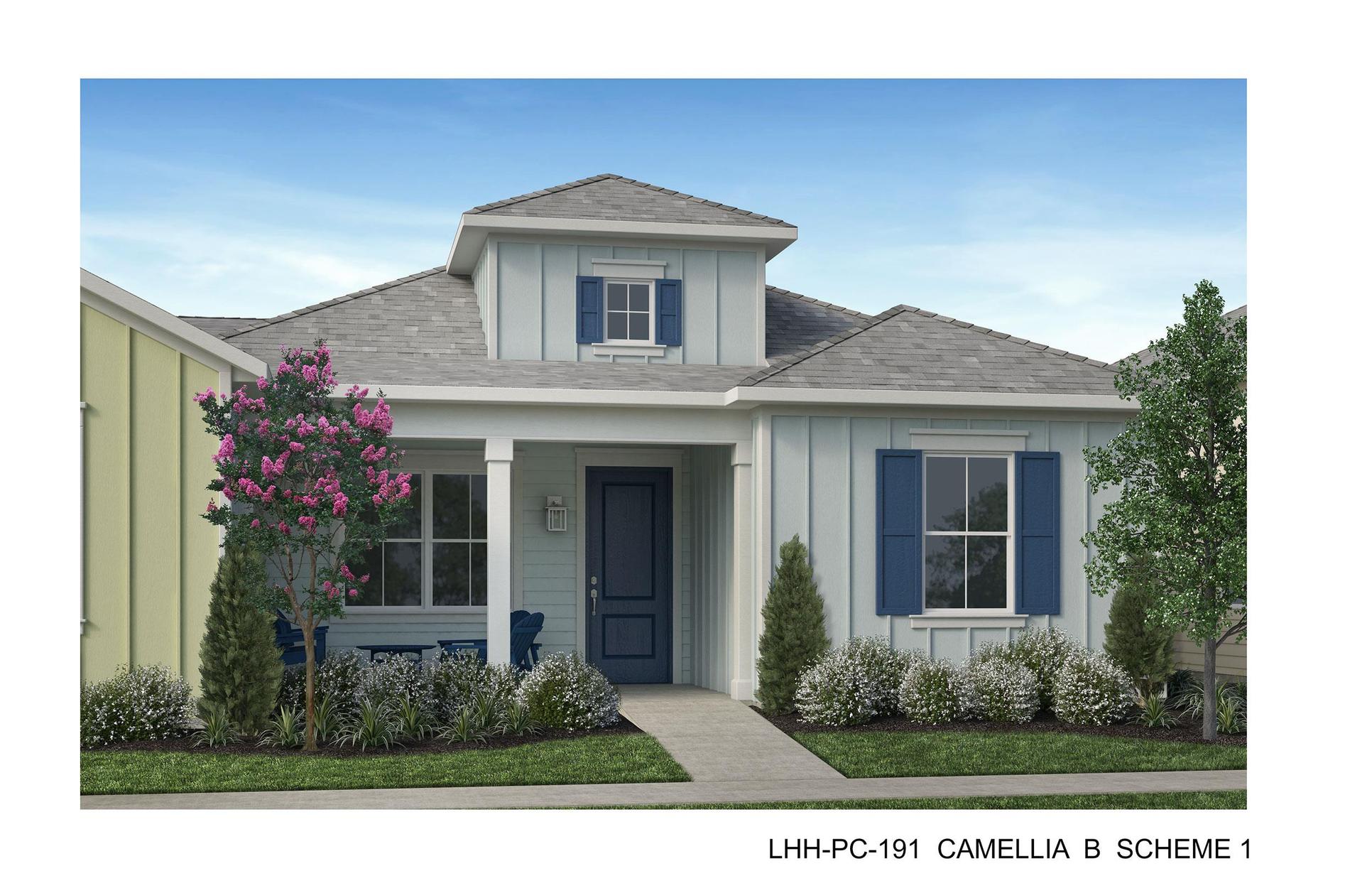 Camellia:Elevation B