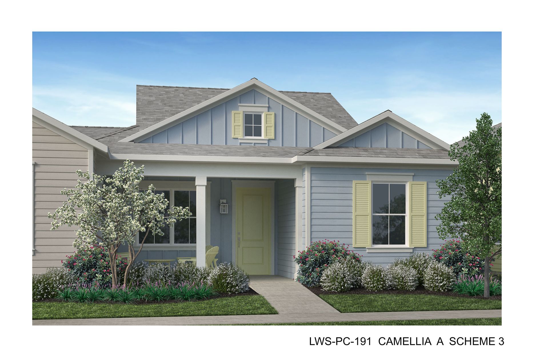 Camellia Elevation A