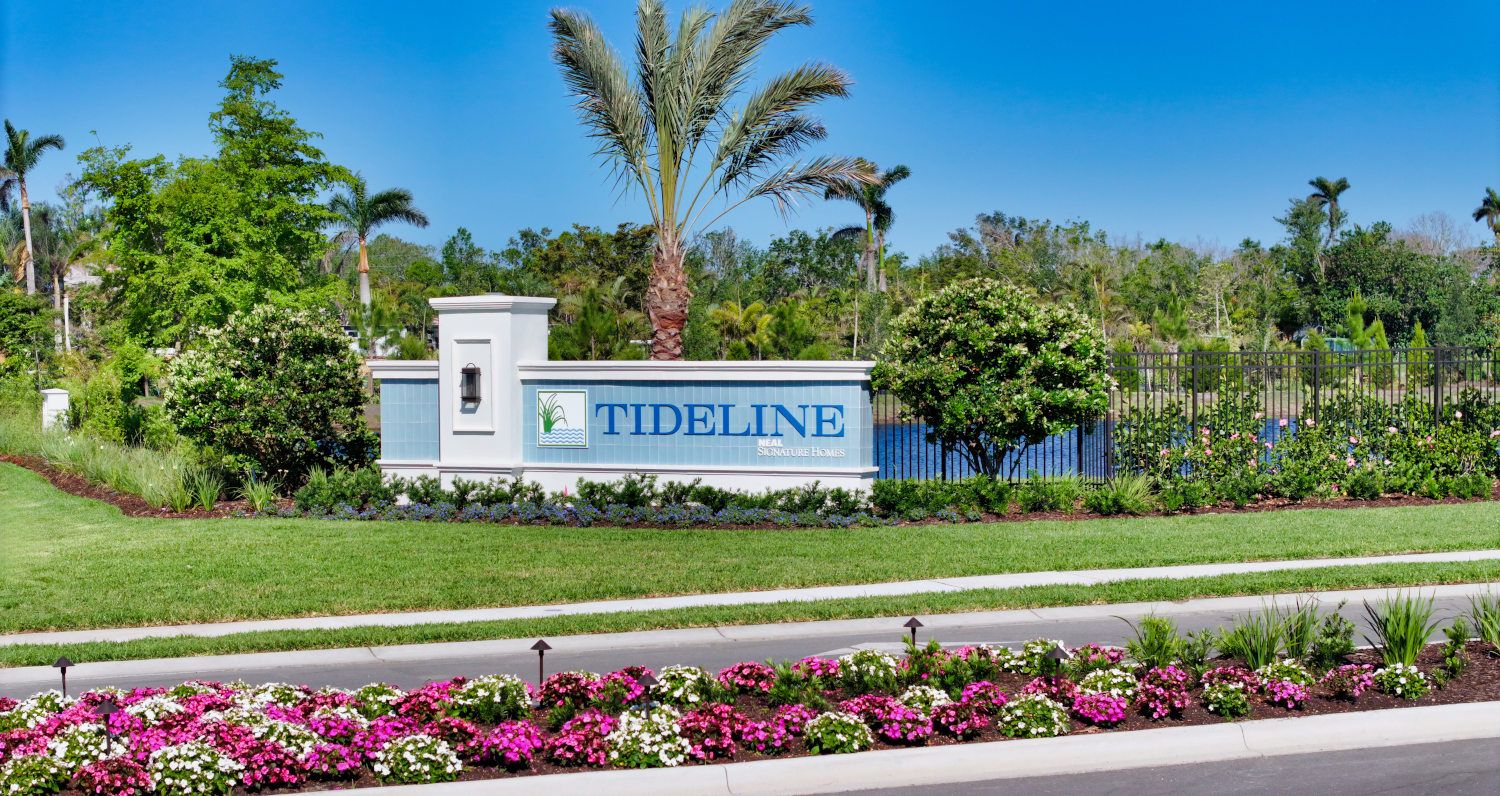 Tideline,34209