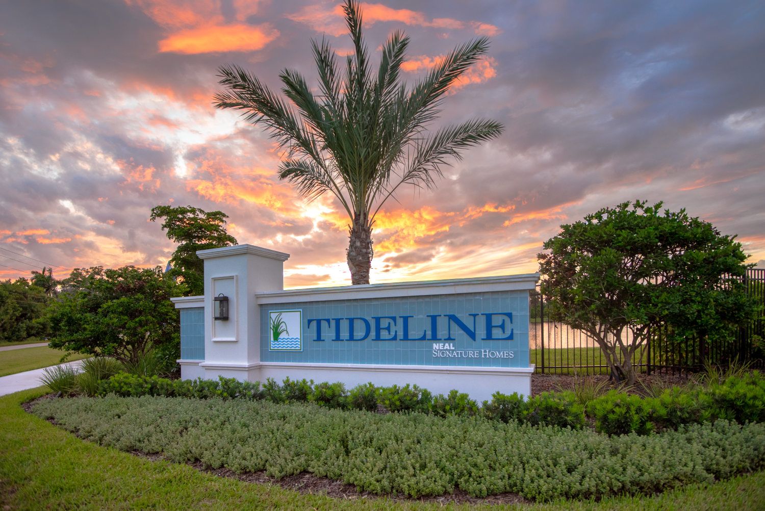 Tideline,34209