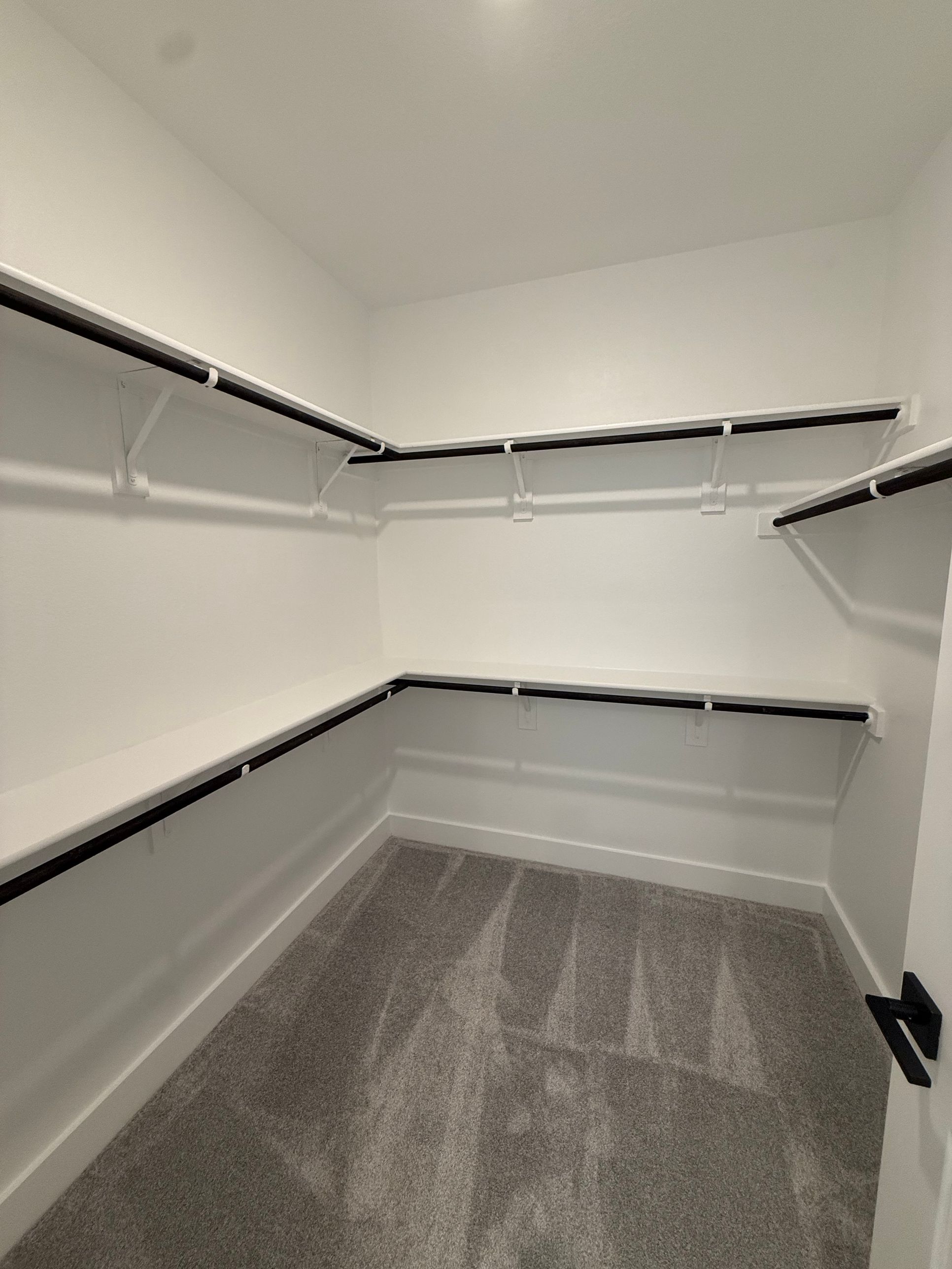 Sage-Freedom-at-anthem-jaxon-130Sincere-closet