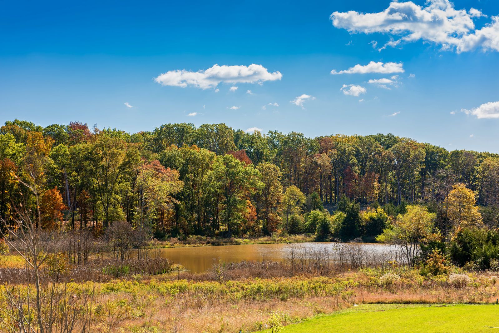 Homesites featuring lake views!