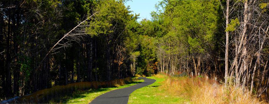 Wentworth Green 2-Level Condos