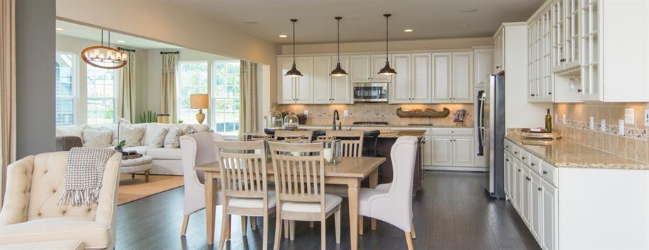 Clarksburg Village Grand Neo-Traditional Homes