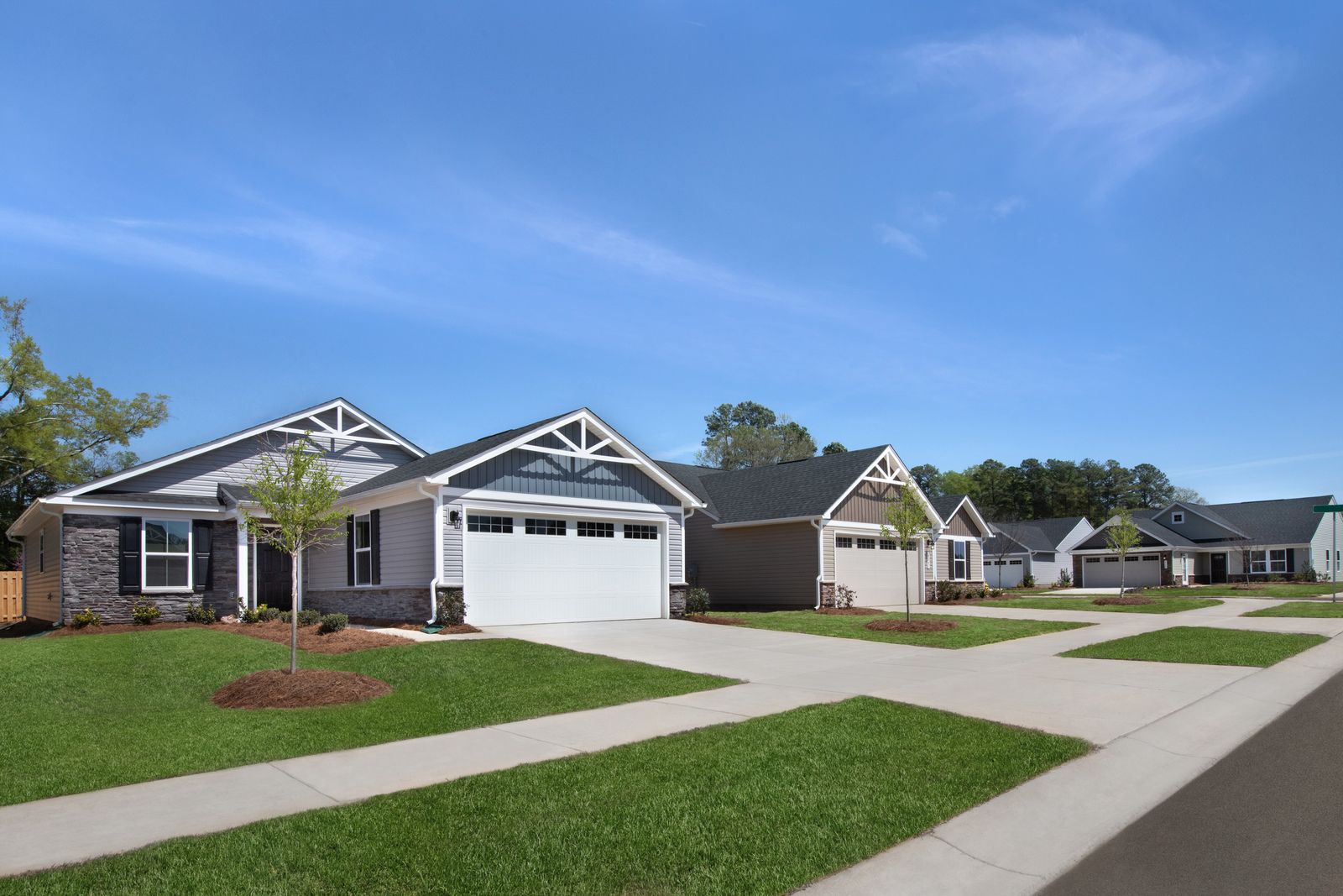 Maintenance ranch homes w/ basements in Kline Station