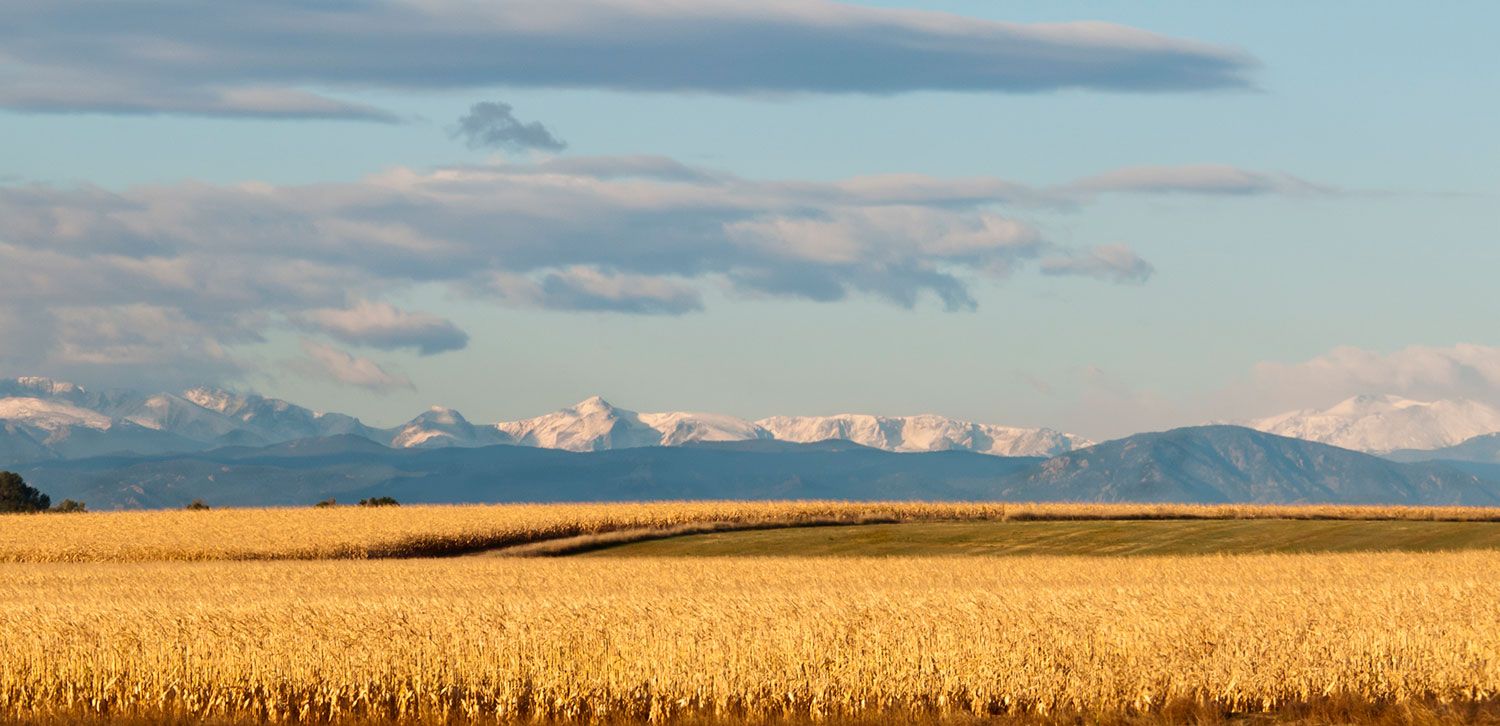 View of the mountains:Representation of Muegge Farms Community in Bennett, CO