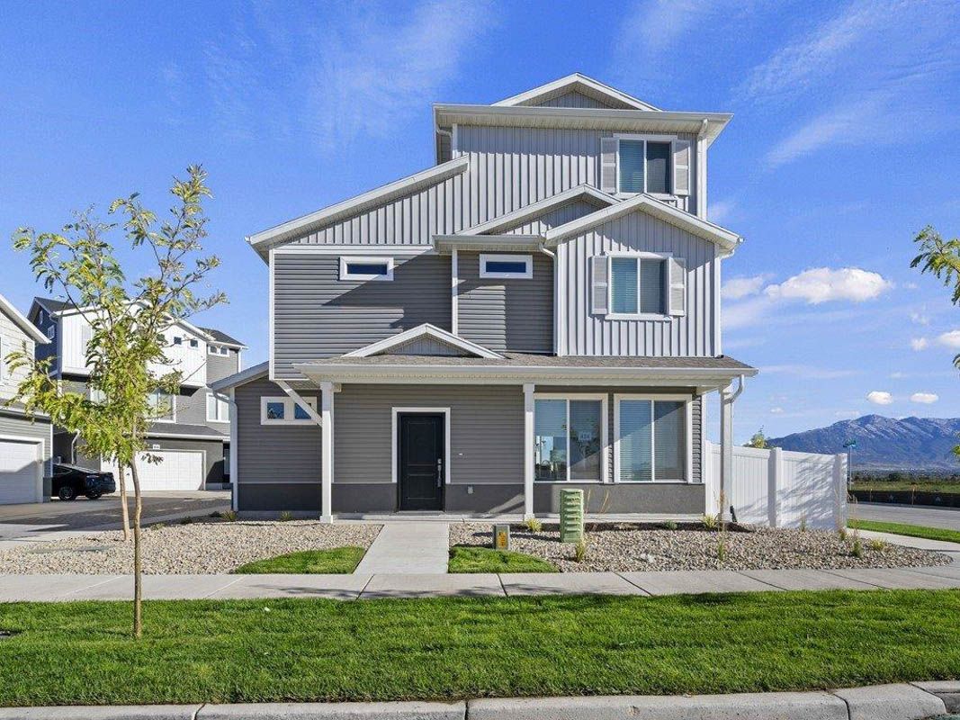 Friesian Exterior:A View of the Friesian