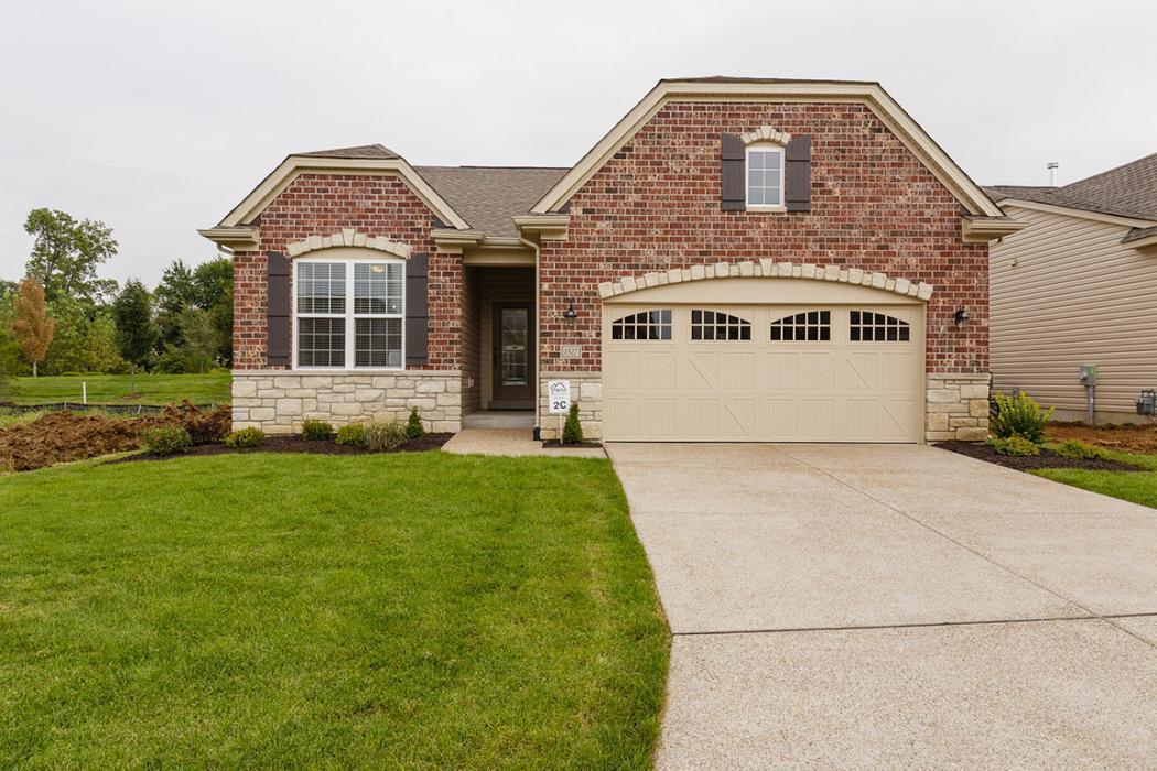 This Is a Photo Representation. Some Features in T