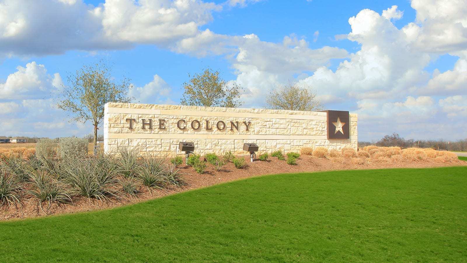 The Colony 60',78602