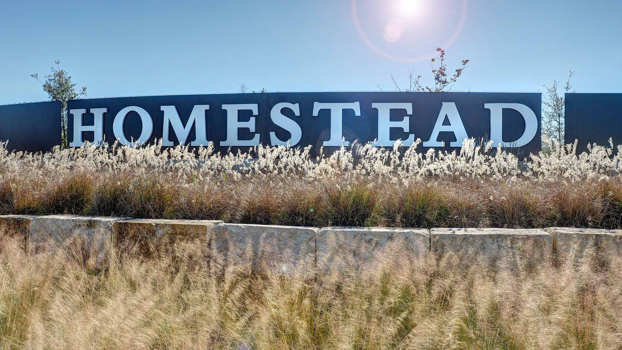 Homestead 65' in Schertz, TX New Homes by Perry Homes