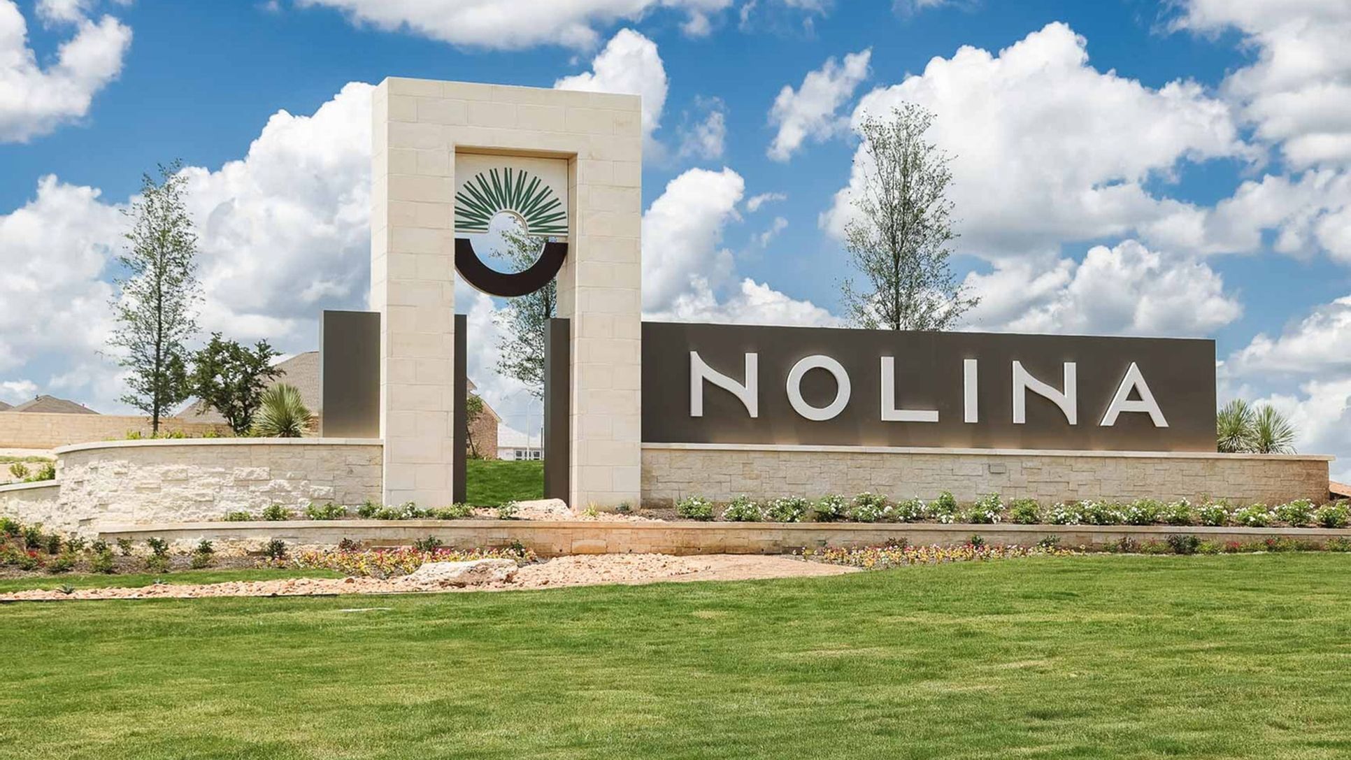 Nolina 60',78633
