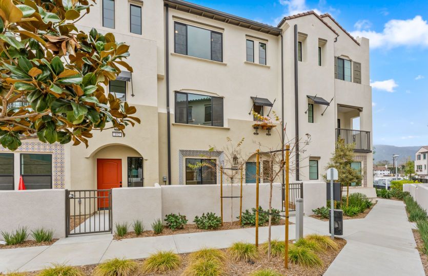 Exterior:Homesite 31