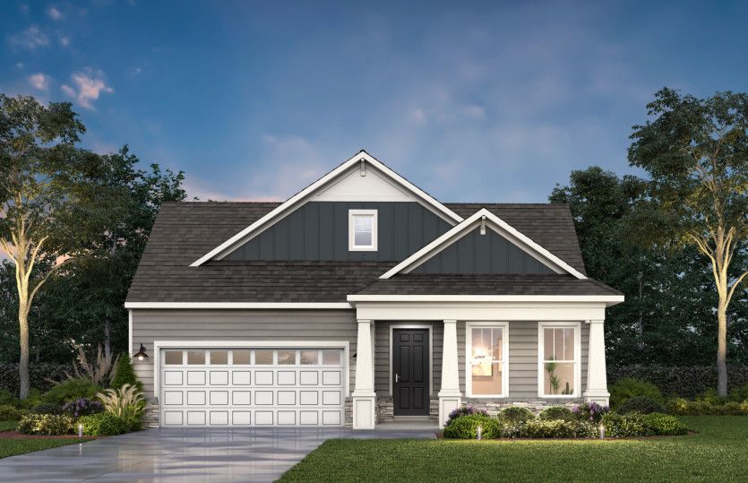 Prestige:Elevation NC203