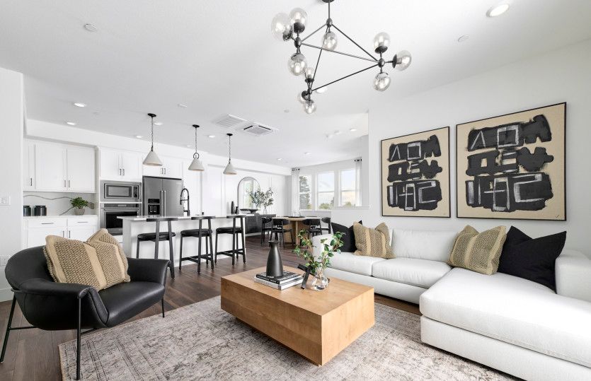 Plan 6:Open main living area - model representation