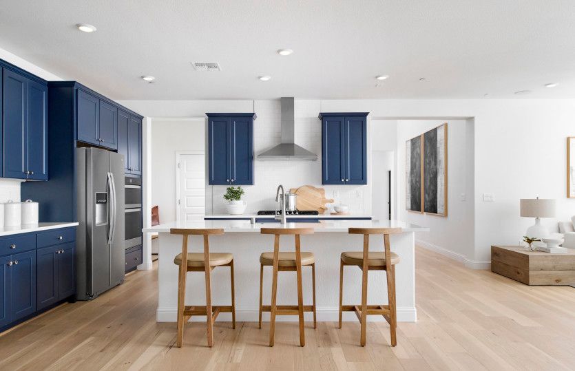 Exterior:Luxurious kitchen with large center island