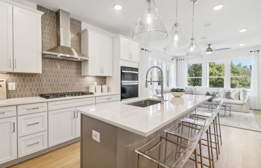 Exterior:Gourmet Kitchen with Expansive Island - Model Representation