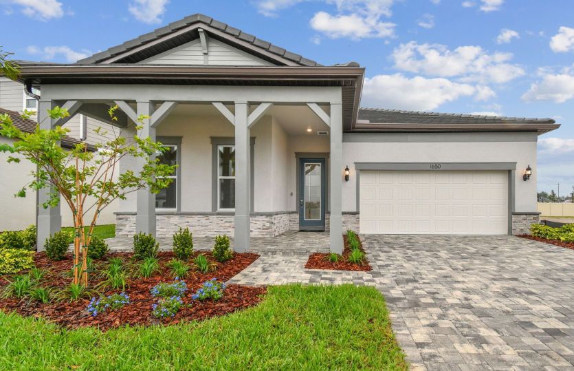 Coral:Coral Exterior