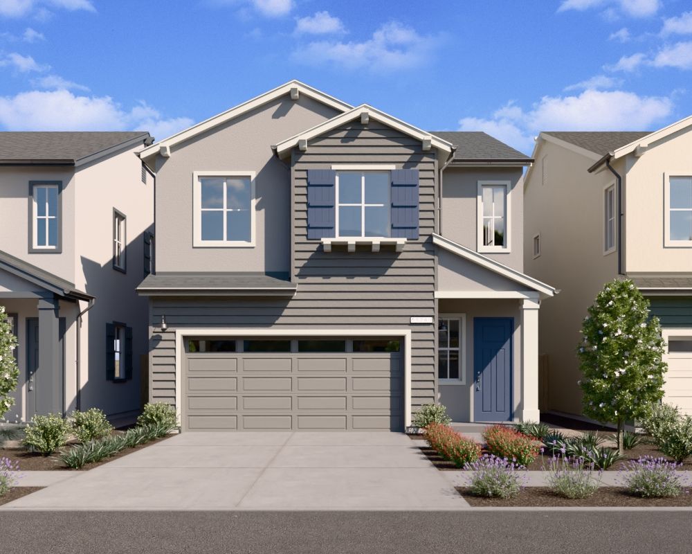Plan 1B:Plan 1B rendering