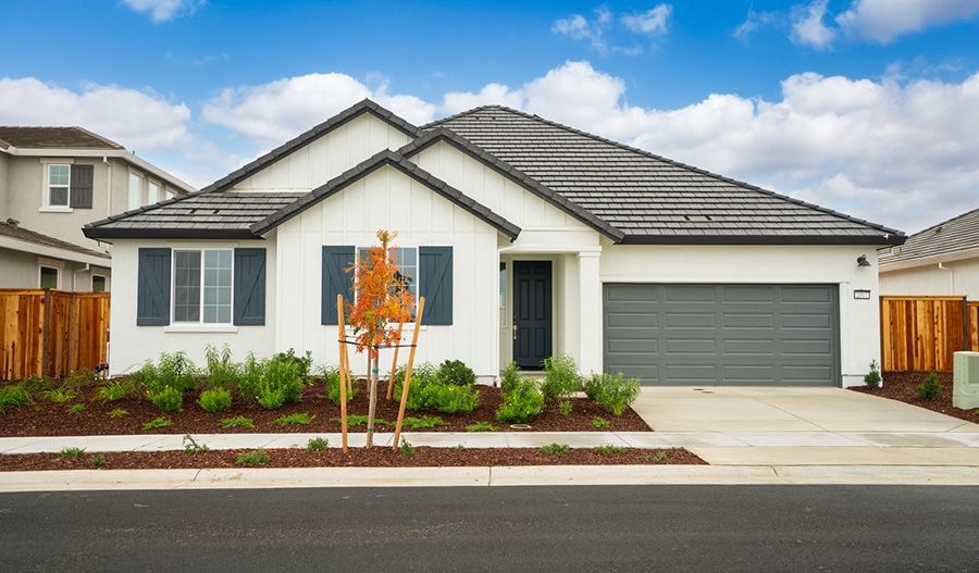 Dalton-Lot316-Tapestry Exterior:Exterior