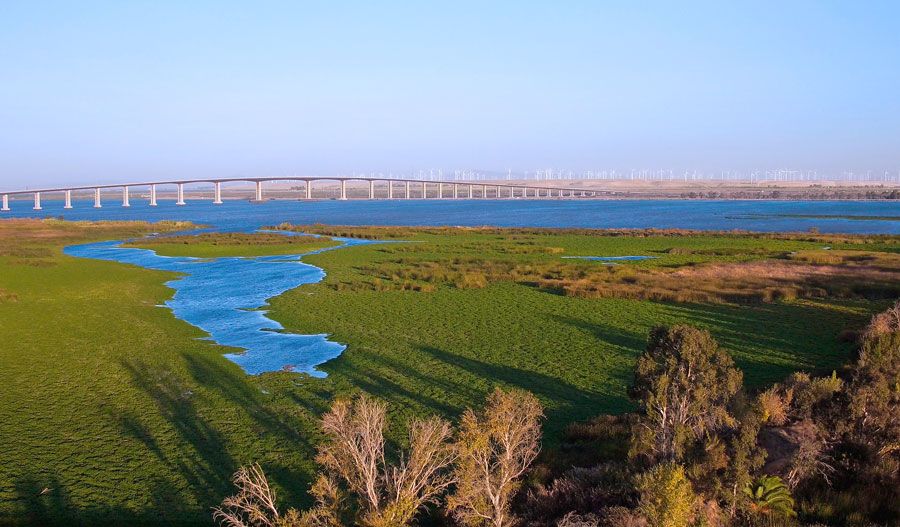 MiddlefieldAtDelaneyPark-BAY-Water View