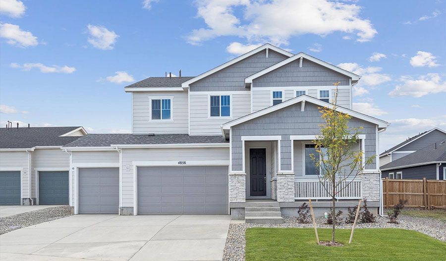 Ammolite-Lot17-FossilCreek Exterior:Exterior