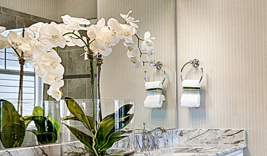 Standard series 1 - Alcott-MBath-beige-white:Owner's bath