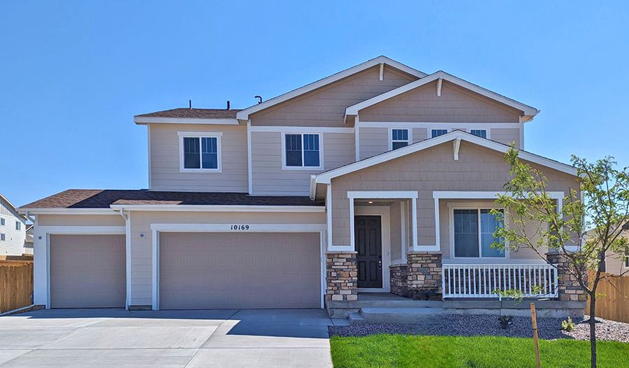 Ammolite-Lot35-PaintBrushHills Exterior:Exterior