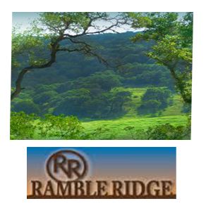 Ramble Ridge,78266
