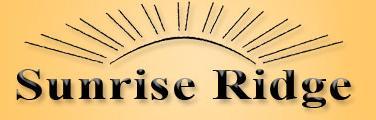 Project Design