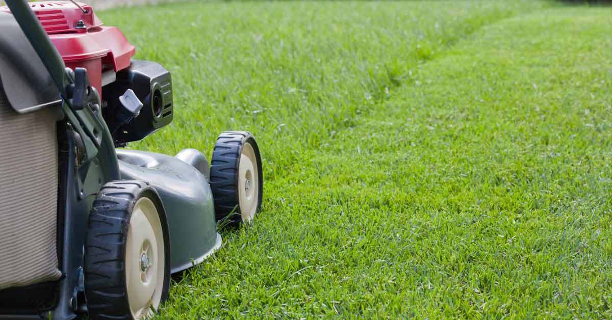 Lawn care included - more time for the activities you love!