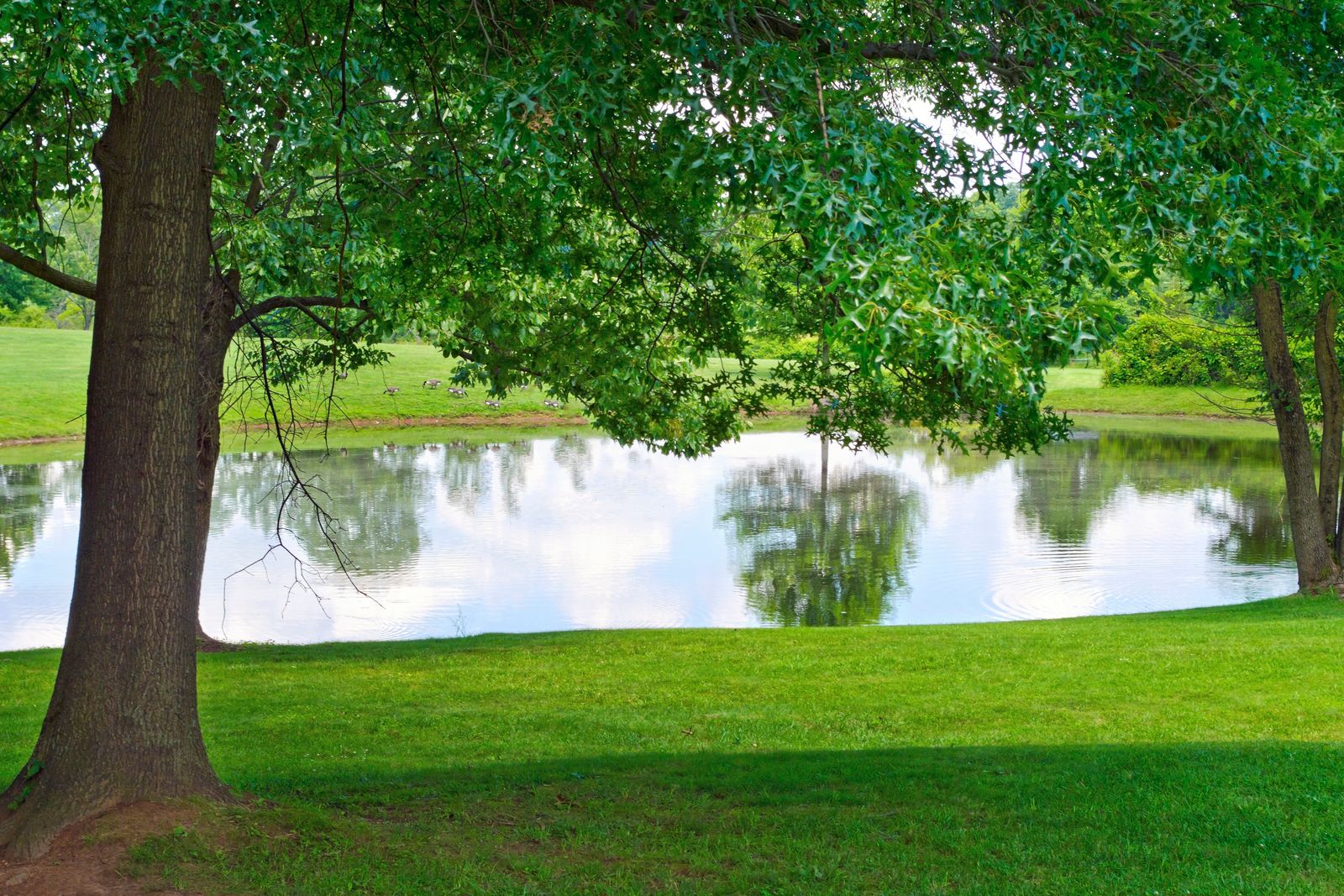 Spacious homesites up to 1/3 acre with scenic water and preserve views:Tucked away in East Port St. Lucie, you'll discover our exceptional selection of spacious homesites, offering breathtaking water and preserve views. Join the interest list to learn more.