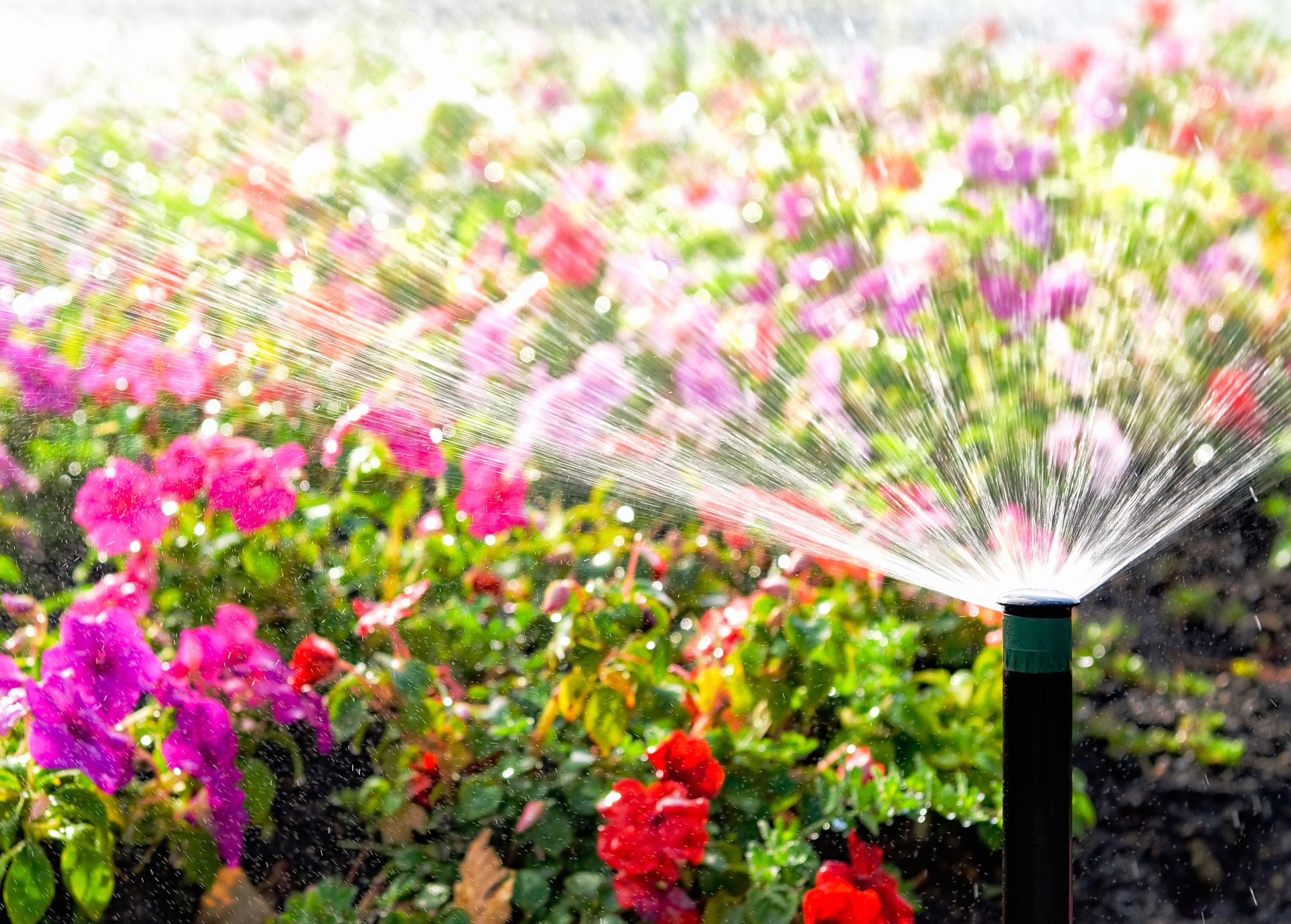 Your best move yet is in full bloom - save $10K with DOUBLE seller credit. Offer wilts after 05/07.