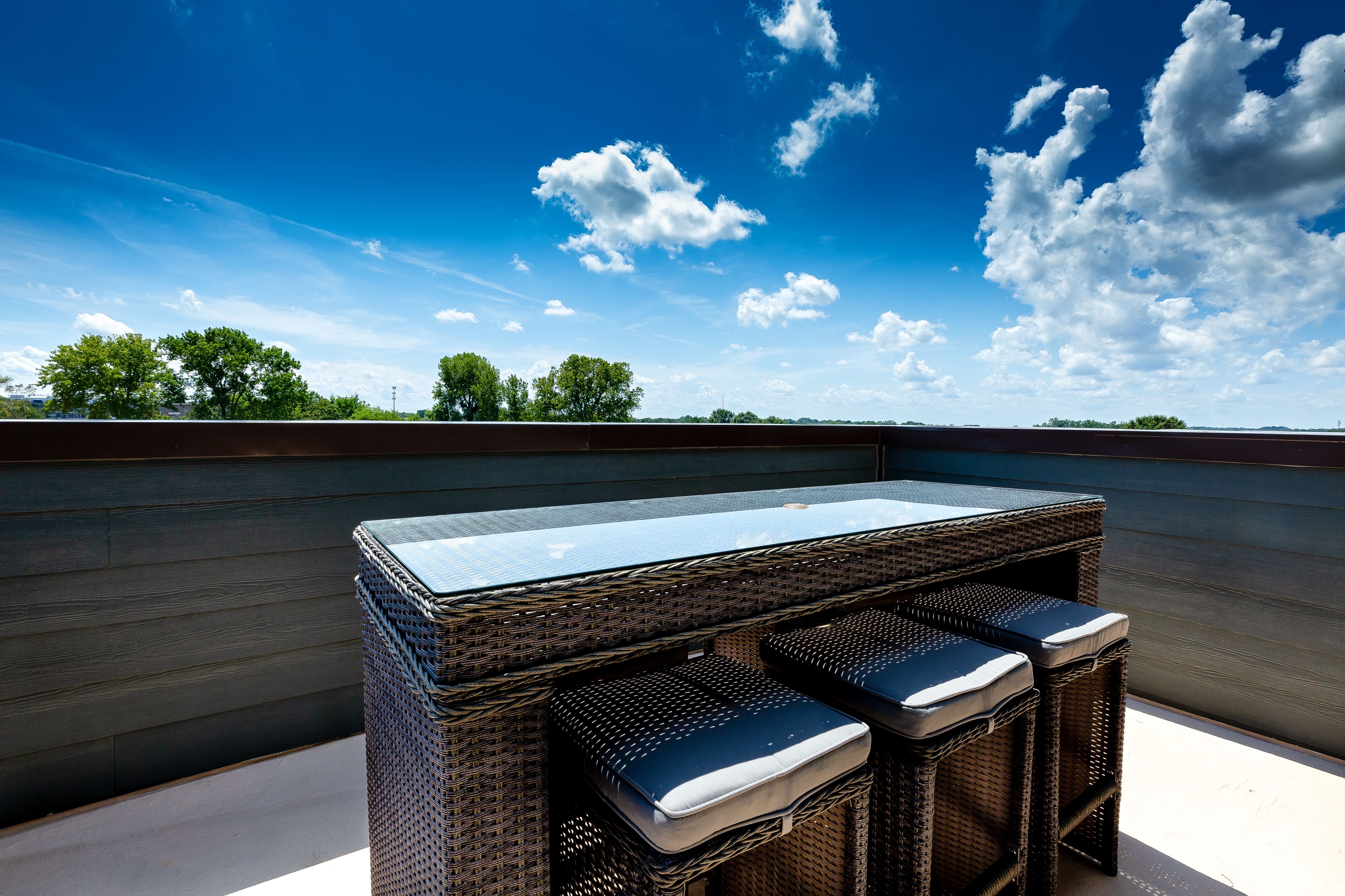 Enjoy skyline views from your private rooftop retreat:Enjoy sweeping city views on your rooftop terrace. This additional outdoor space is rare to find in Baltimore City. Schedule your visit to find out more details!